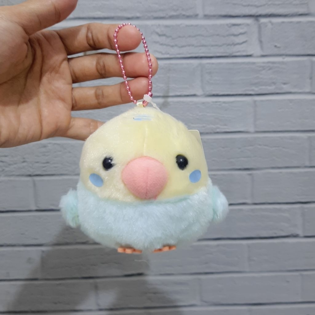 Ganci Burung AMUSE