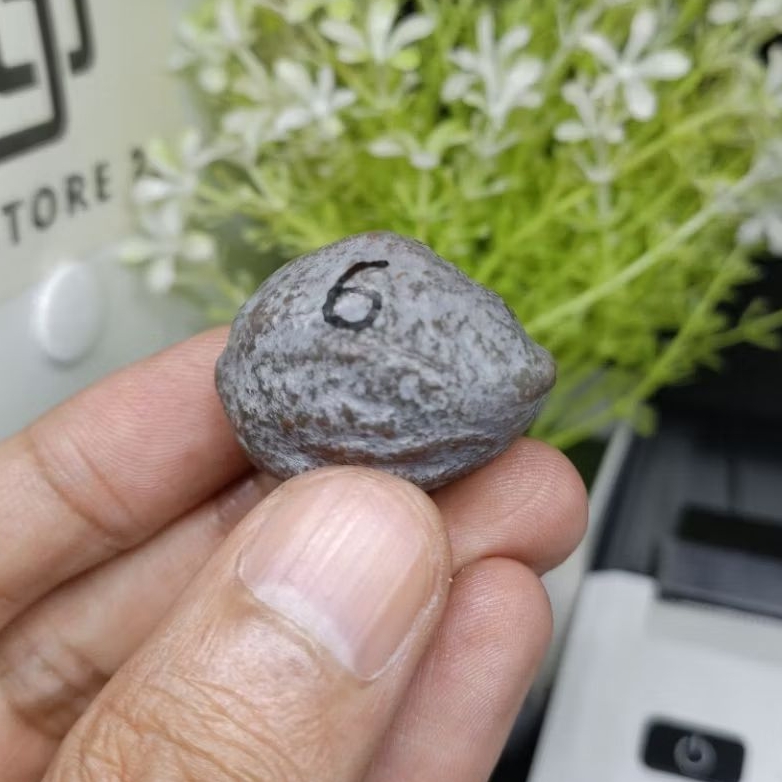 Muncang Adu Yanti Denpom Jr kode 6