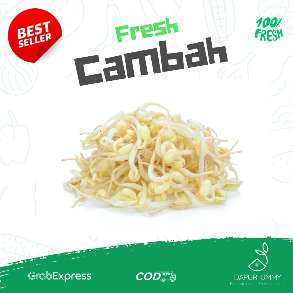 KECAMBAH • Tauge Pendek • Toge Rawon