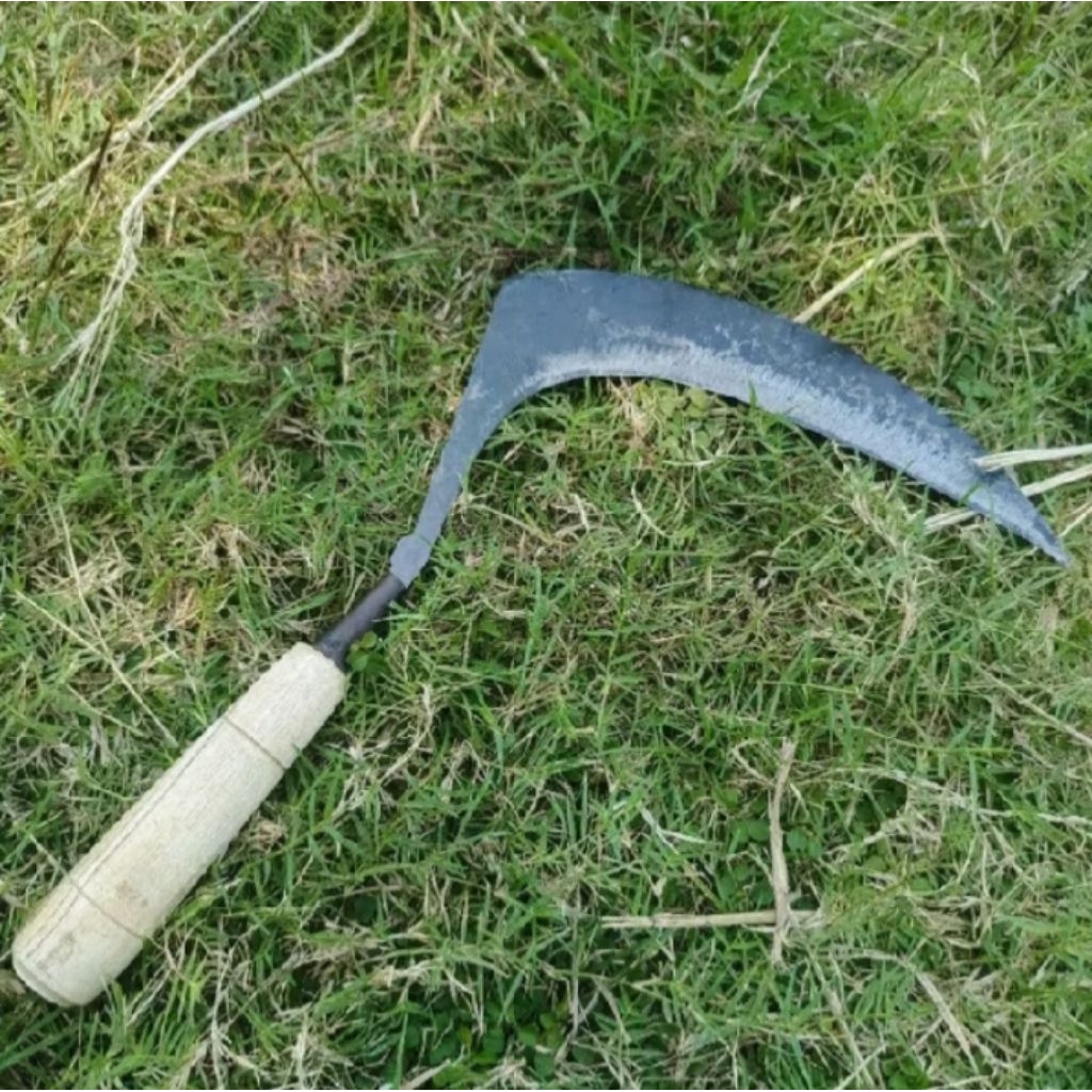 Sabit Padi Rumput Tanpa asah , Sabit padi rumput wojo kempit ,Sabit padi rumput bj per