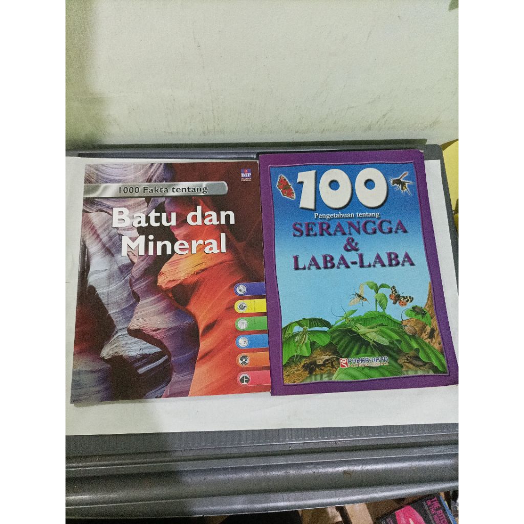 buku pengetahuan anak 1000 fakta tentang batu dan mineral, 100 pengetahuan tentang serangga dan laba