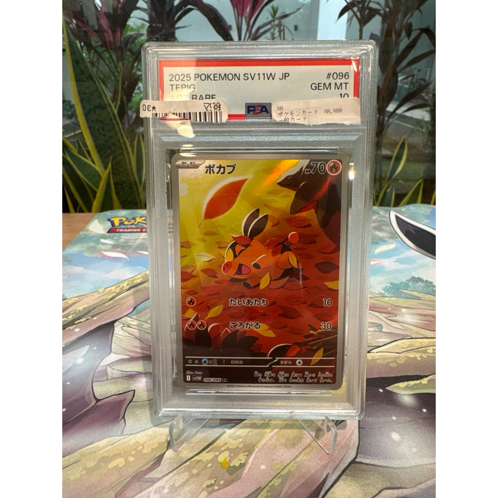 Pokemon Tepig AR PSA 10 Japanese