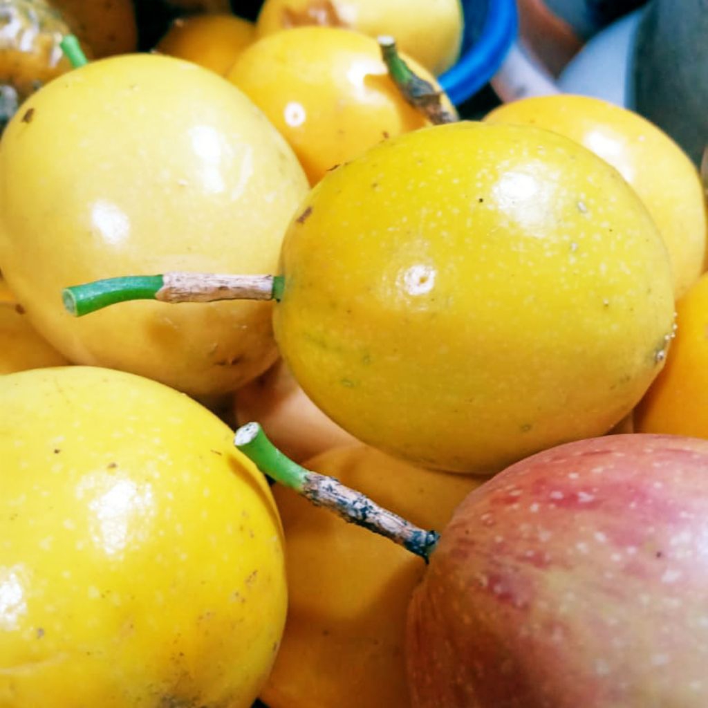 BUAH MARKISA FRESH 1KG  Markisa madu mix