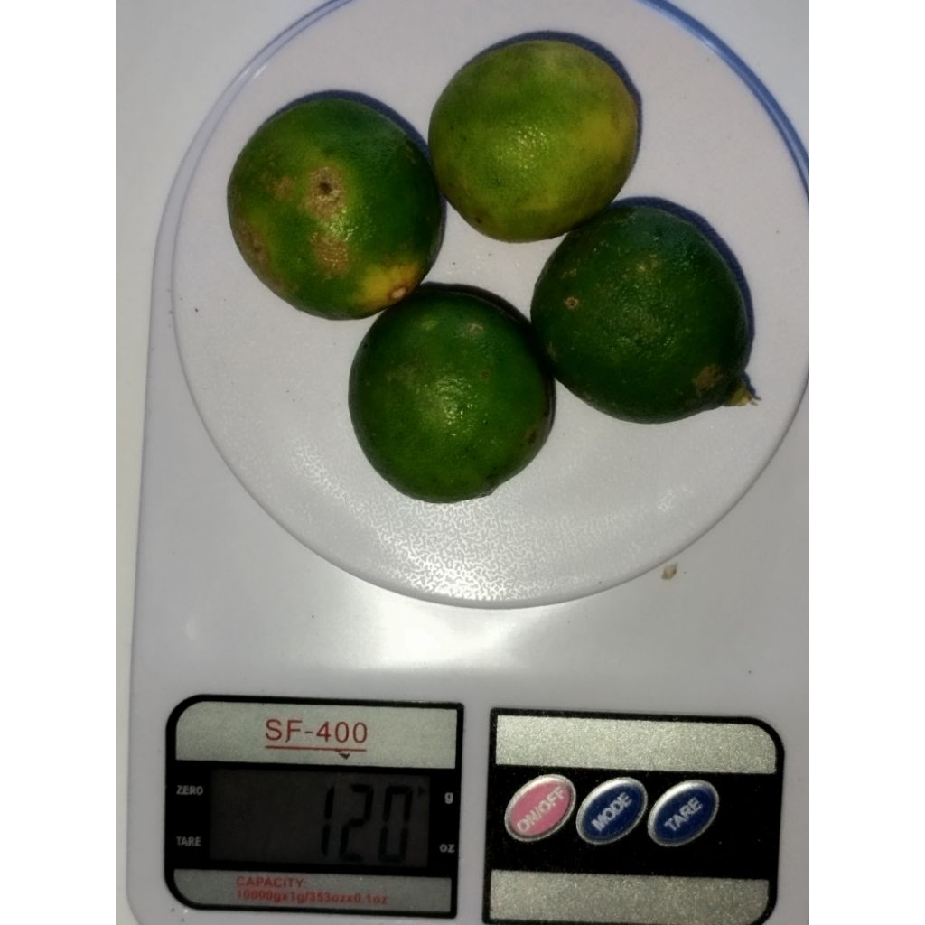 Jeruk Nipis/Jeruk Nipis Segar/120 Gram