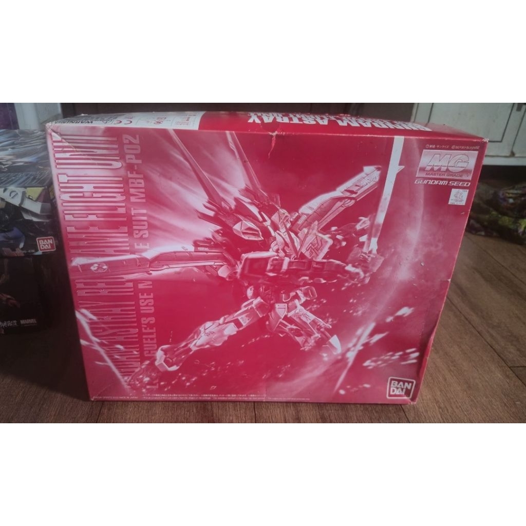 P BANDAI MG 1/100ASTRAY FLIGHT UNIT