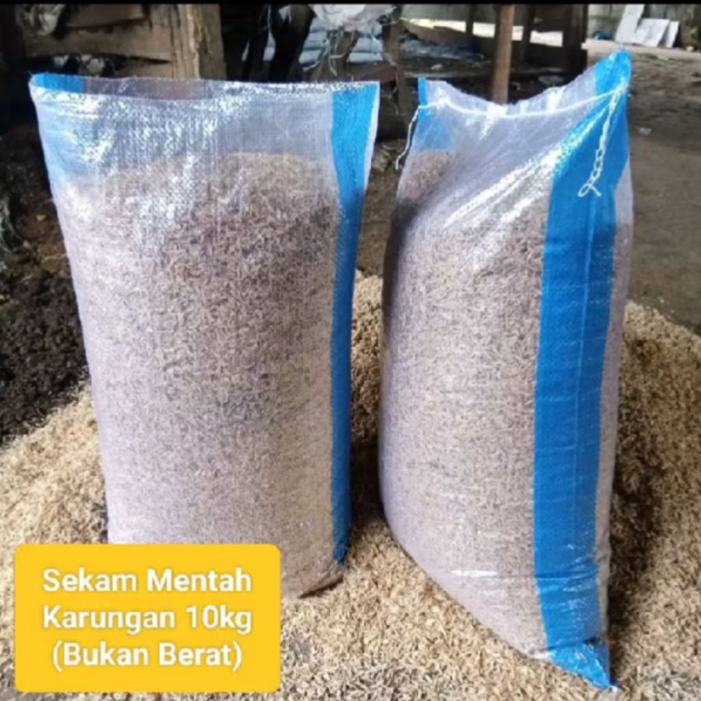 Sekam Padi 1 Karung Kemasan 50kg - Sekam Mentah Alas ternak