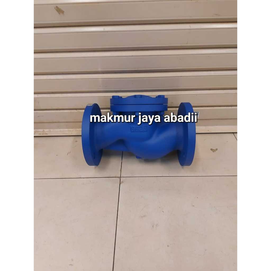Lift check valve 2'' inch dn50 pn16 lift check valve 2'' inch cast iron pn16