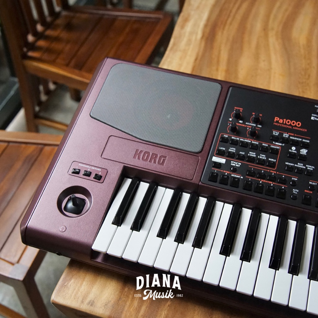KORG PA1000 / PA-1000 Professional Arranger Keyboard
