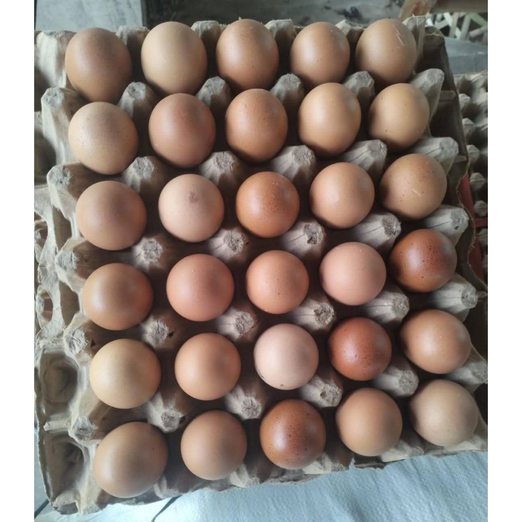 Telur ayam 1pcs medan