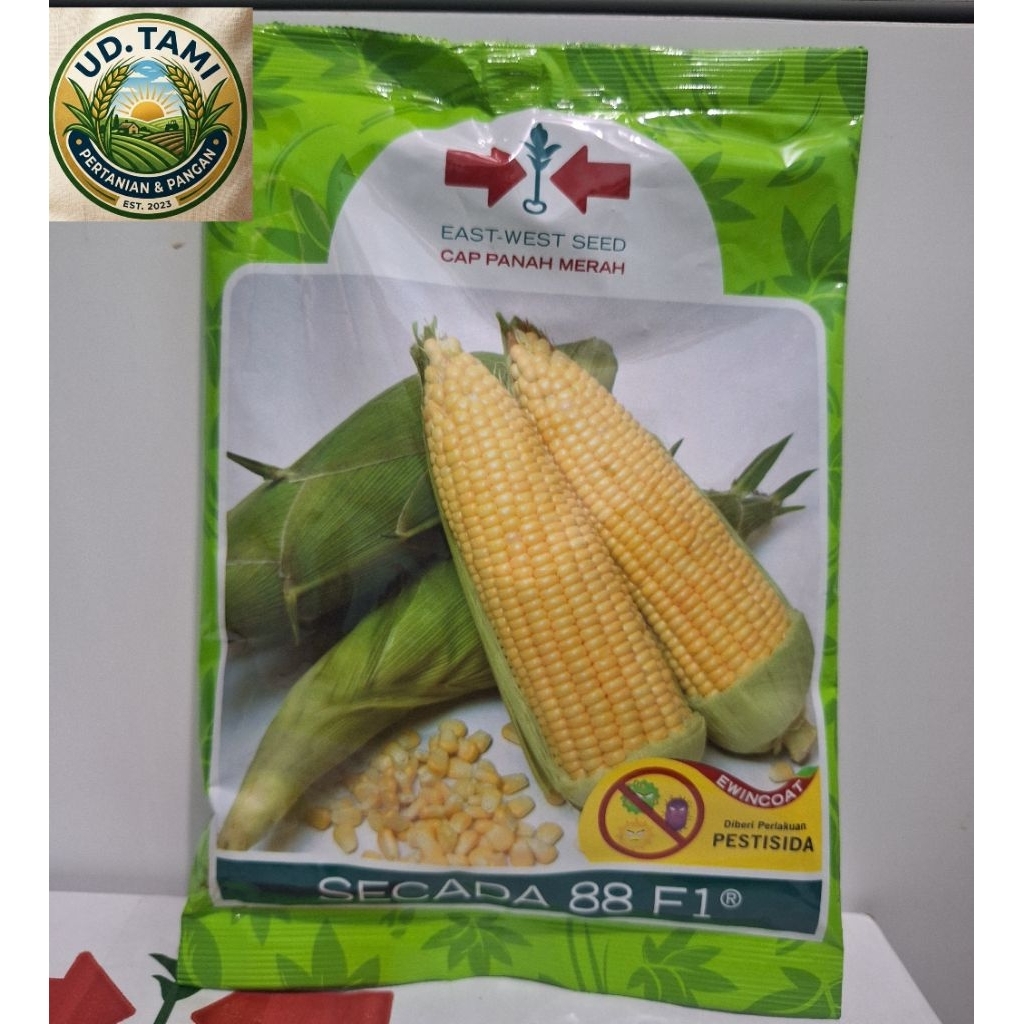 Benih Jagung Manis Secada 88 F1 isi 1.750 Butir