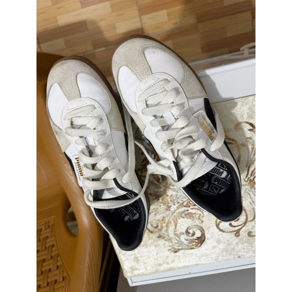 puma palermo