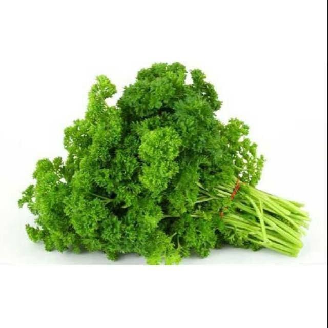 Daun parsley, daun parsley segar, daun parsley fresh