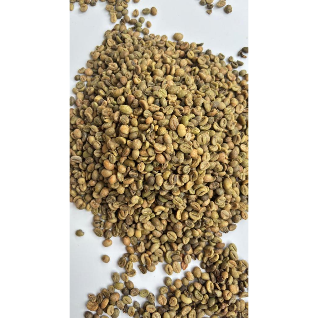 biji kopi mentah robusta 1kg