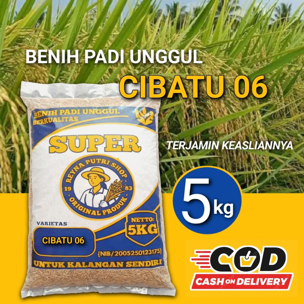 benih padi cibatu 06 berkualitas 5kg