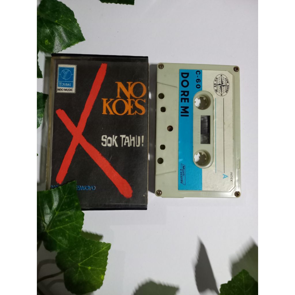 KASET PITA NO KOES / SOK TAHU