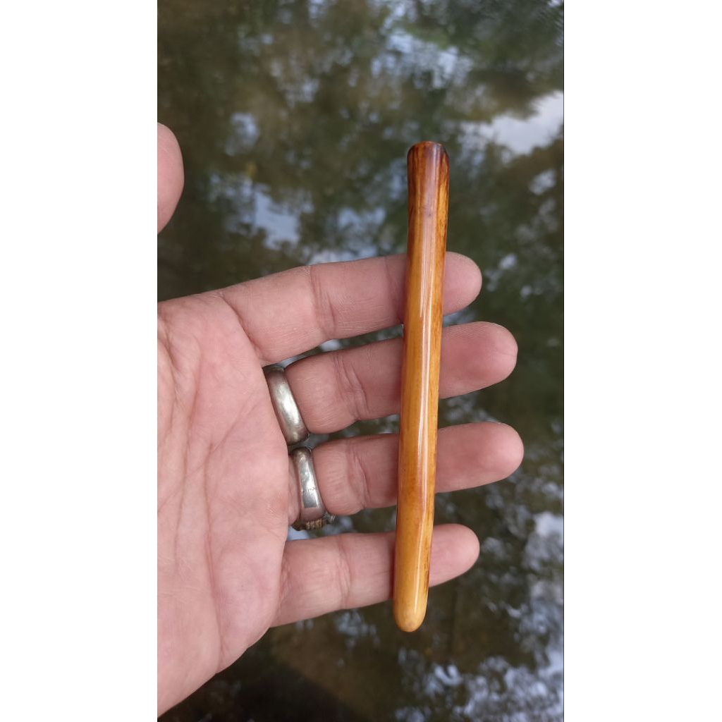 once 99 asli lawasan 13cm piprok 99 lawasan pulen matang