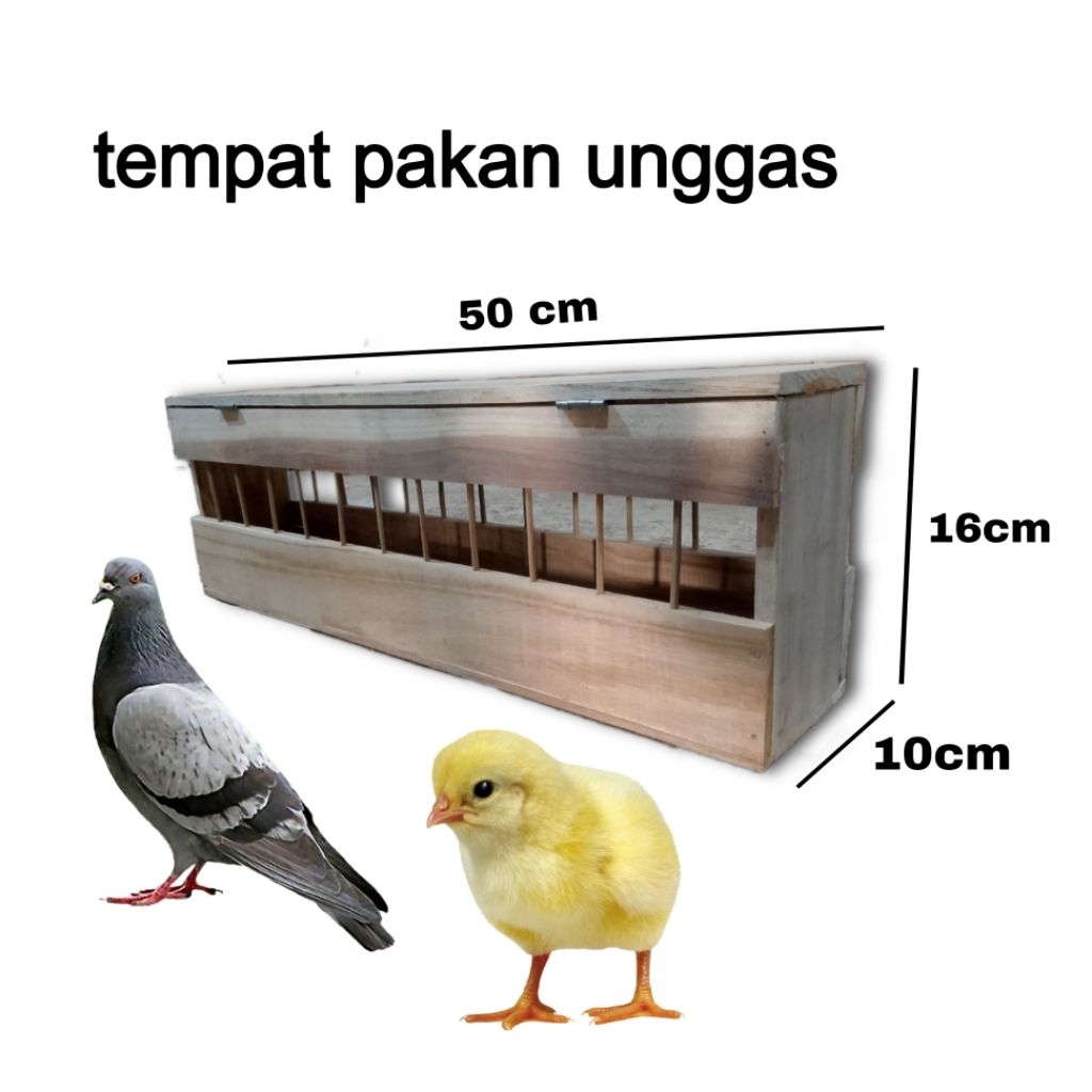 tempat pakan ayam burung koloni anti tumpah