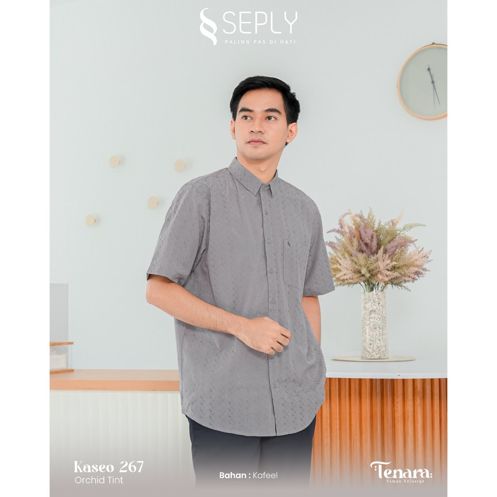 KOKO AYAH DEWASA SEPLY