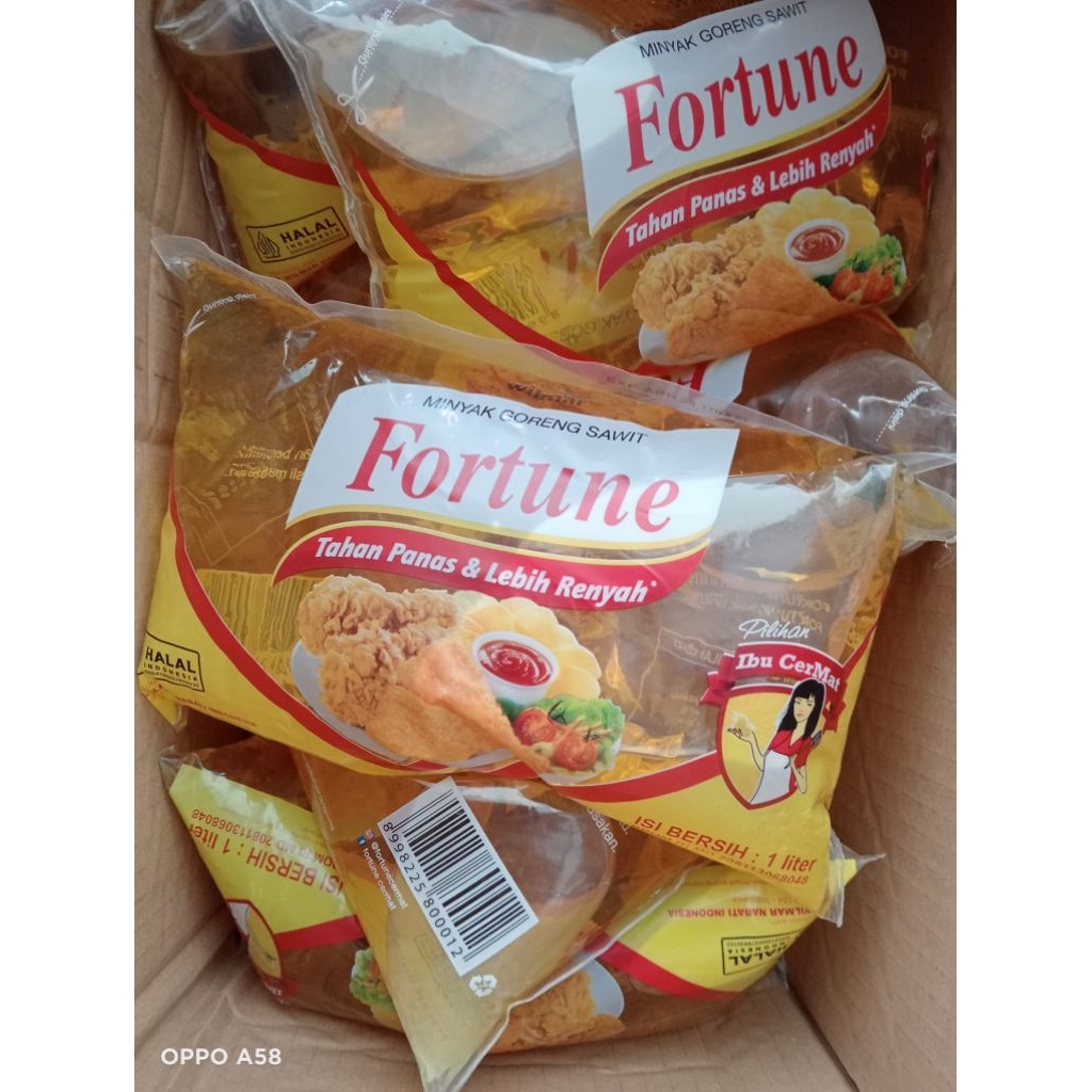 FORTUNE 1 LITER