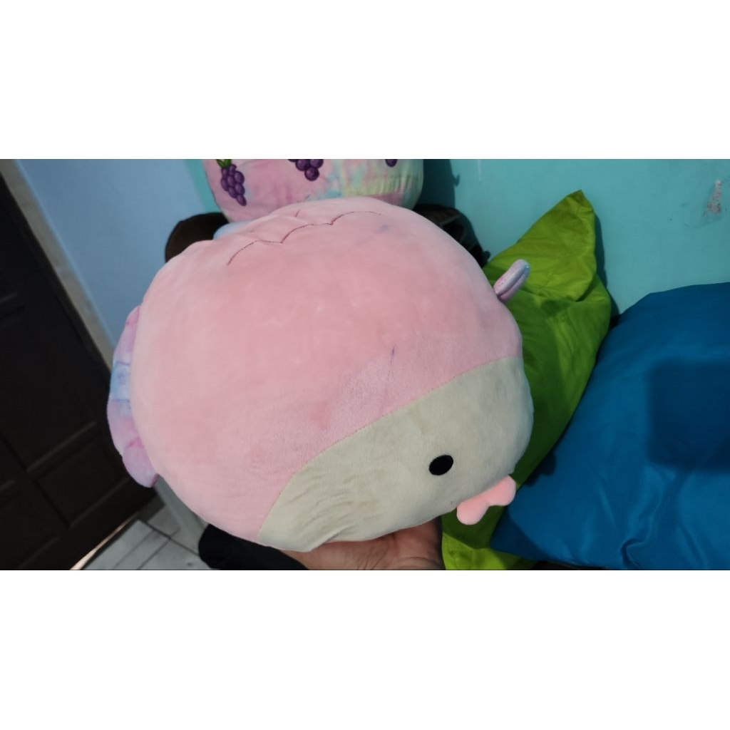 preloved boneka ikan miniso life