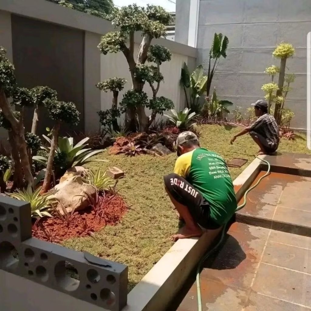 Taman Bonsai depan rumah / pembuatan dekorasi taman / taman minimalis / taman vertikal garden / tama