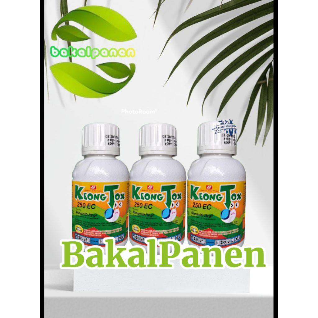 Keong Tox 250 EC moluksida (racun keong/siput)