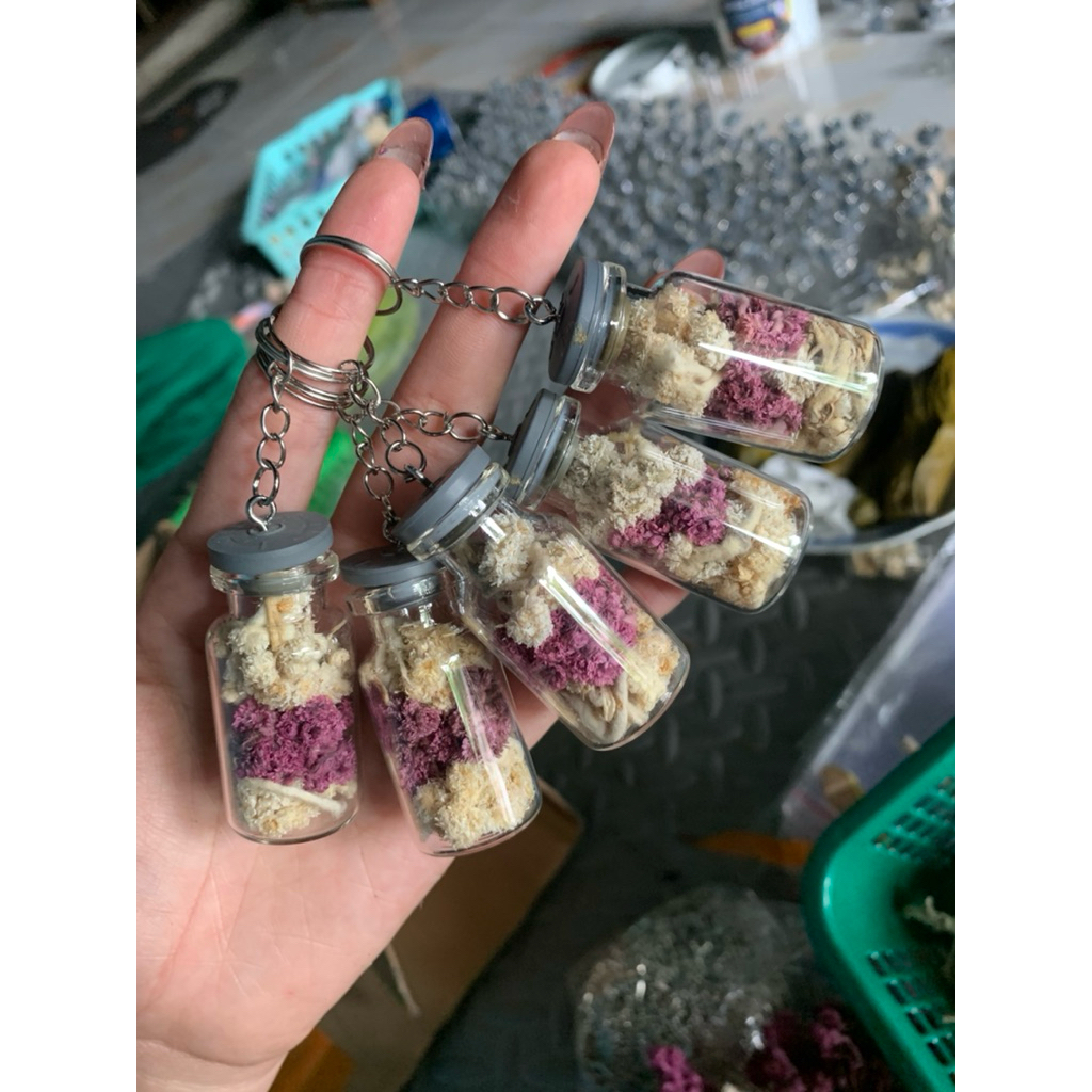 keychain gantungan kunci botol kaca bubga kering bunga edelweis