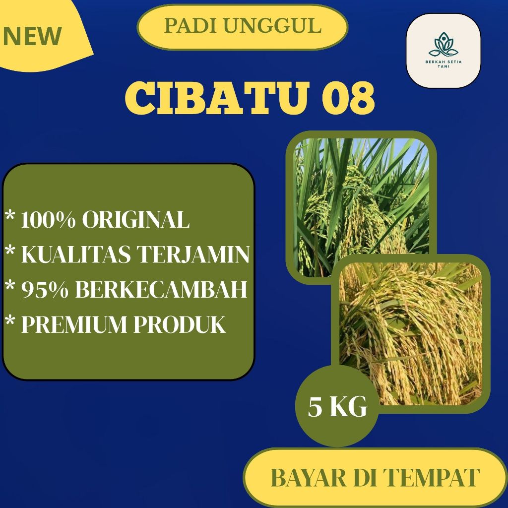 Benih Padi Cibatu 08 Terbaru Kemasan 5kg Original
