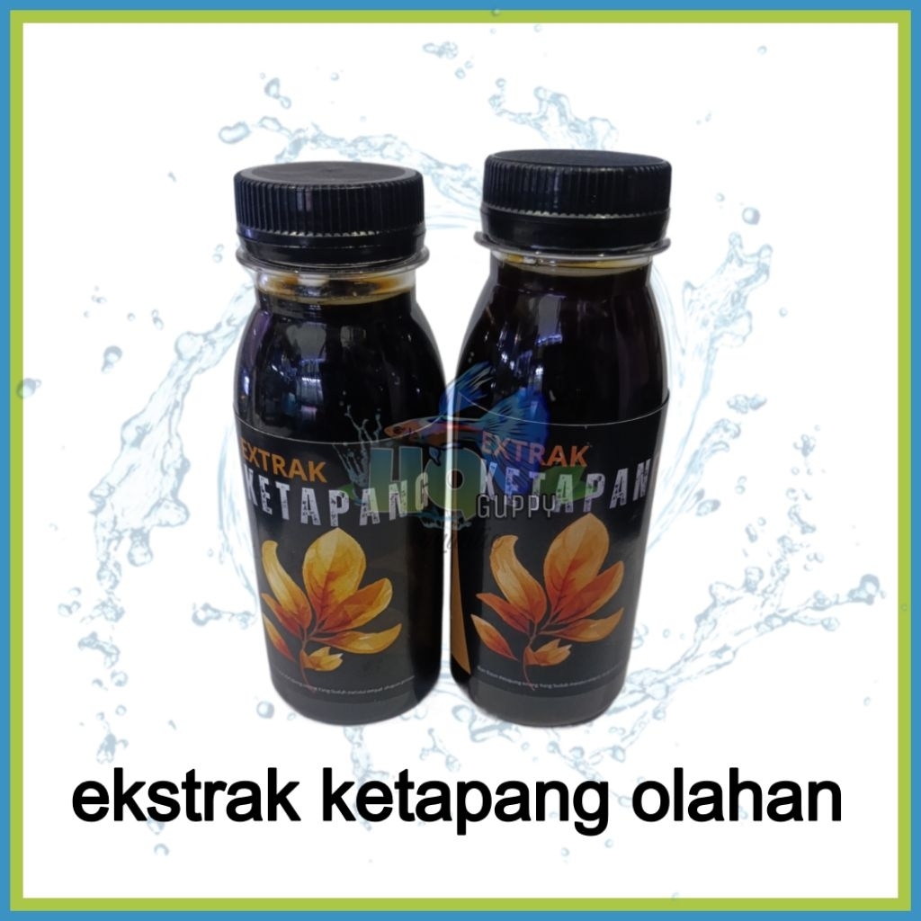 Ekstrak ketapang olahan 100ml ketapang liquid ekstrak daun ketapang