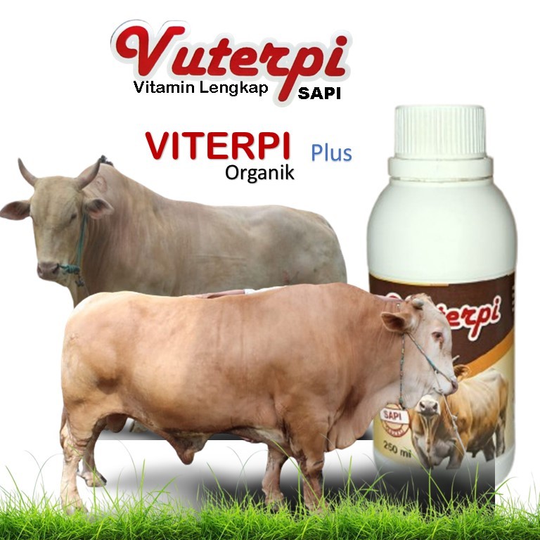 VITAMIN TERNAK SAPI / vitamin sapi / vitamin sapi yang bagus / vitamin sapi agar cepat gemuk