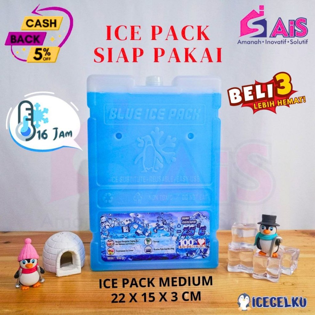 ICEGELKU ICE PACK MEDIUM 22x15cm ICE PACK SIAP PAKAI ICE GEL PACK KOTAK BLUE PACK ICEPACK COOLER BOX