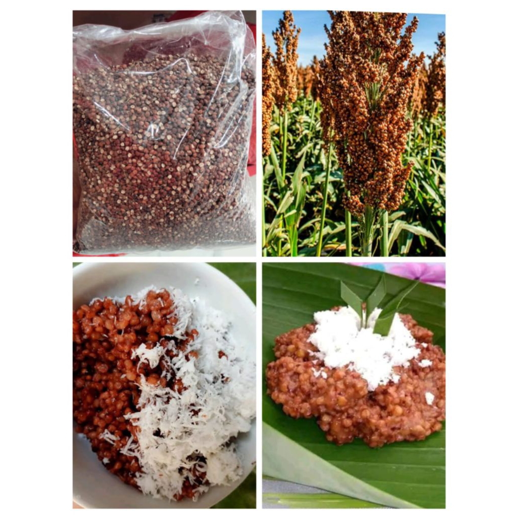 gatot / tiwul 1 kg