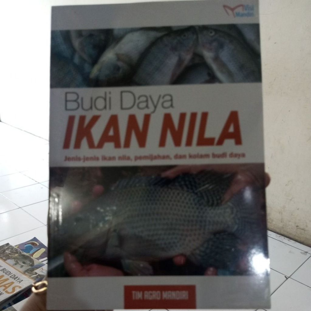 BUDIDAYA IKAN NILA