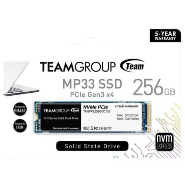 SSD NVME 256GB TEAM GROUP MP33