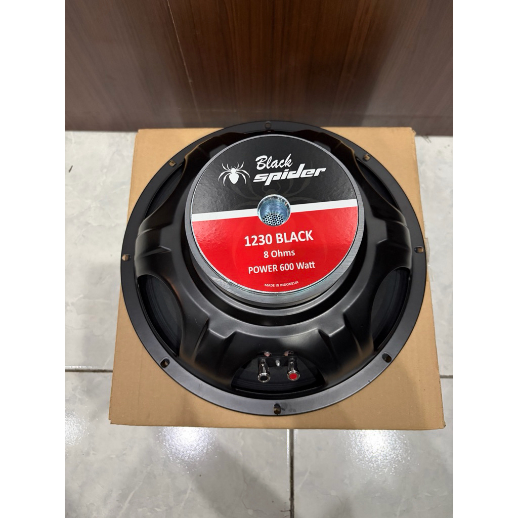 speaker black spider 12” BS 1230 black BS1230 blackspider 1230 fullrange full range original