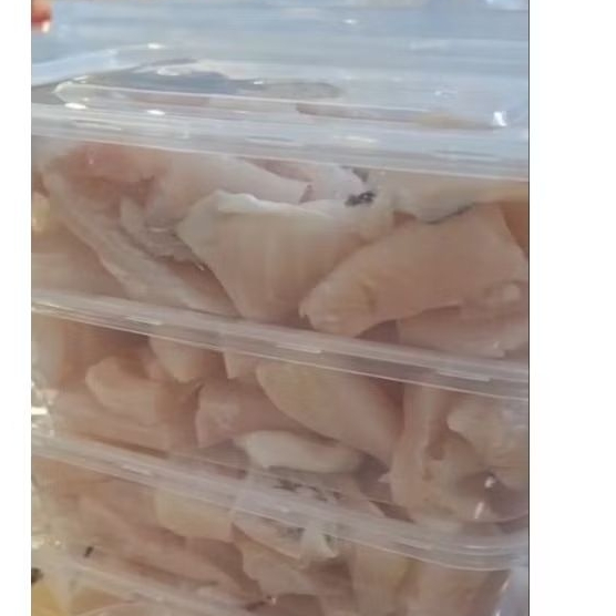 Ikan Gabus | Ikan Gabus Fillet