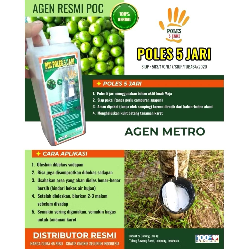 POC POLES 5 JARI