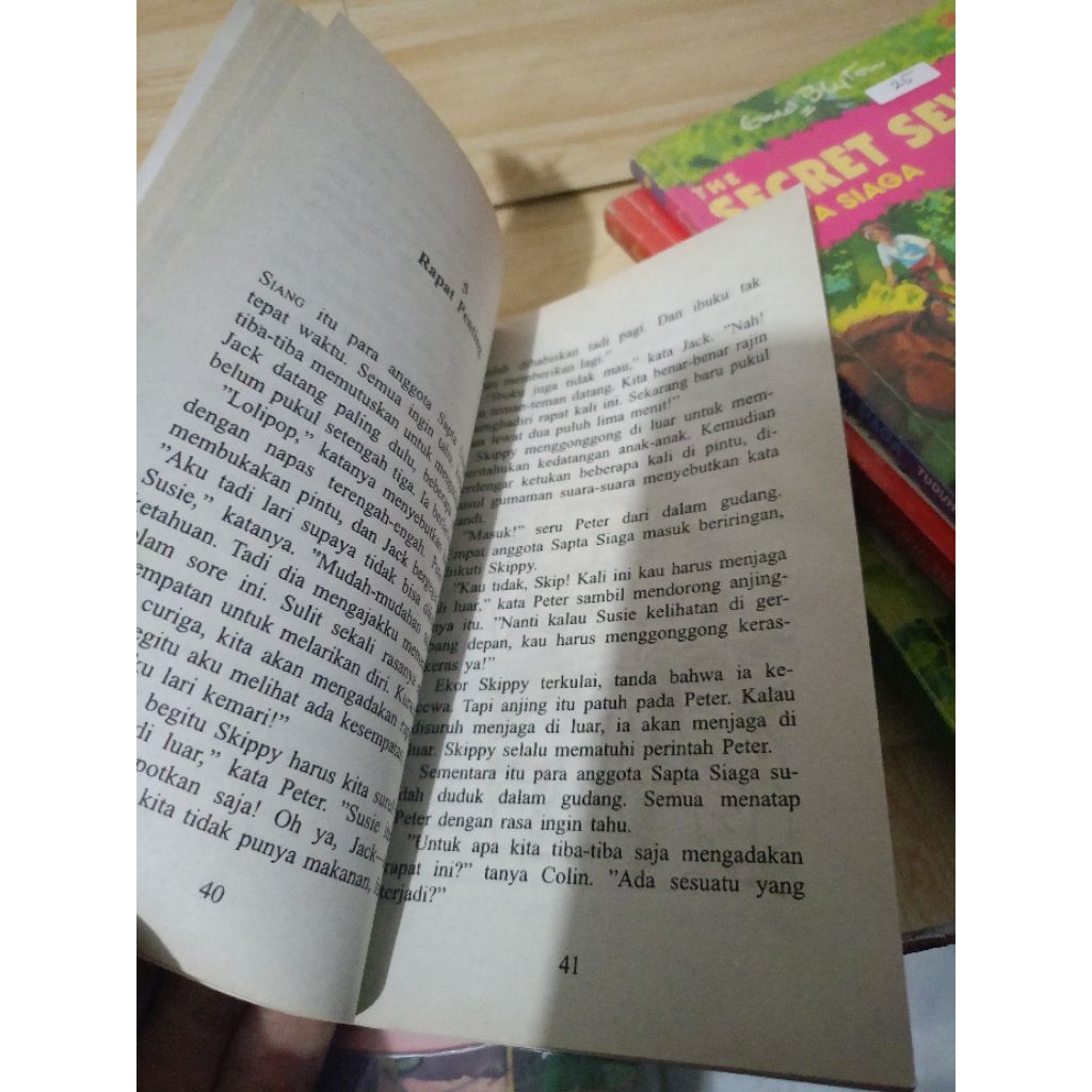 Novel bekas karya Enid Blyton