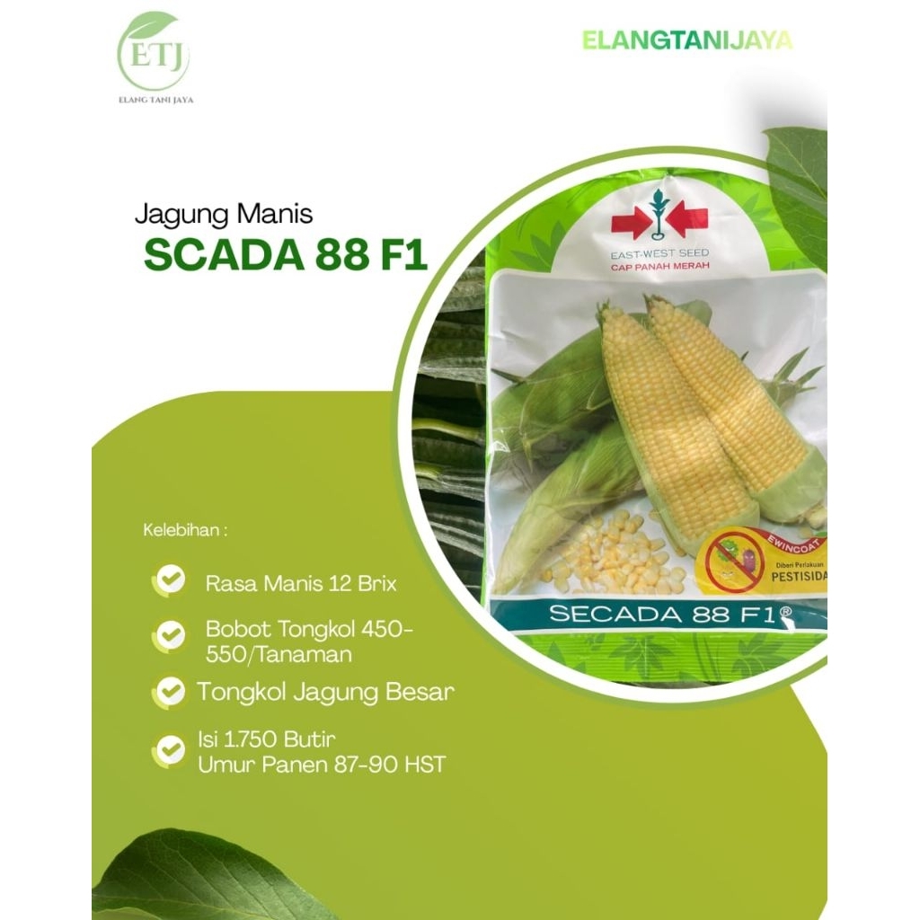 benih jagung manis Scada 88 isi 1750 butir panah merah exp 2026