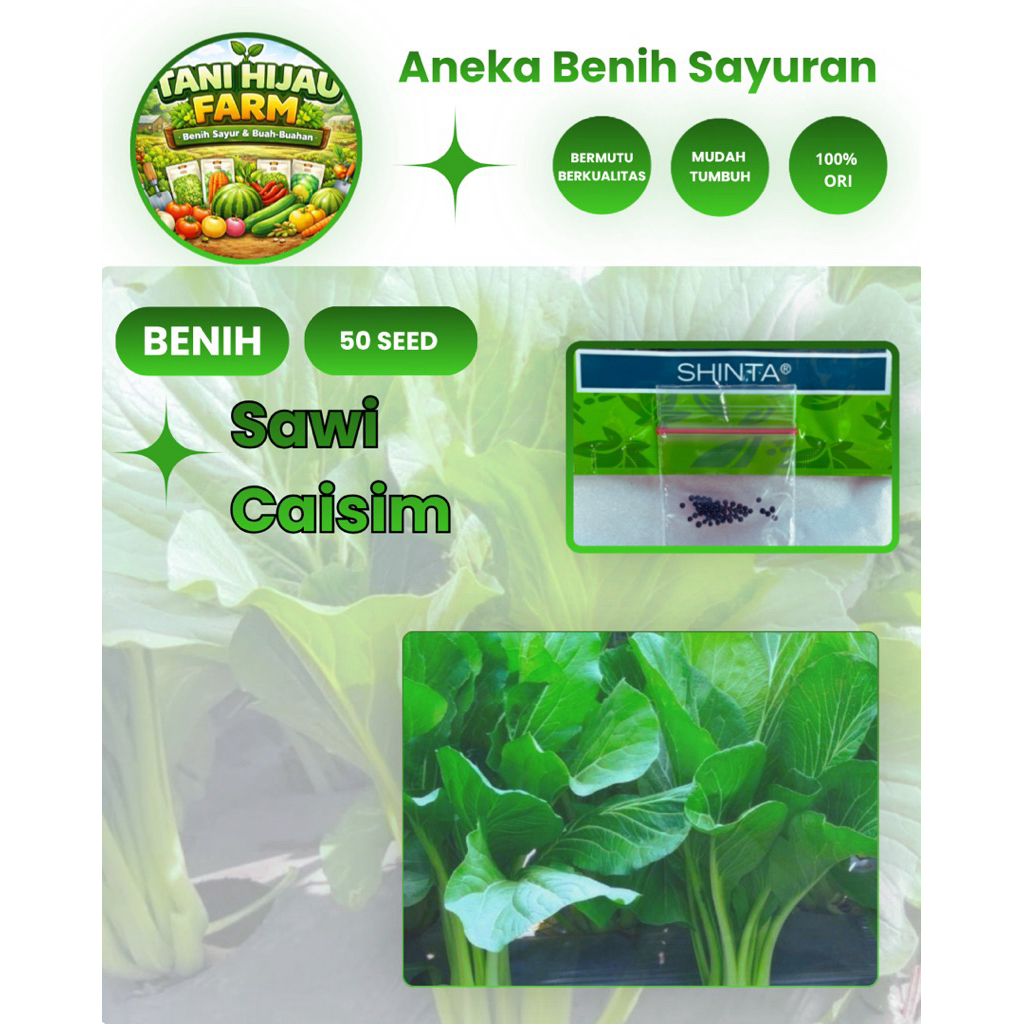 Benih Biji Sawi Hijau Caisim | Sawi Hijau Lalap ( 50 Butir )
