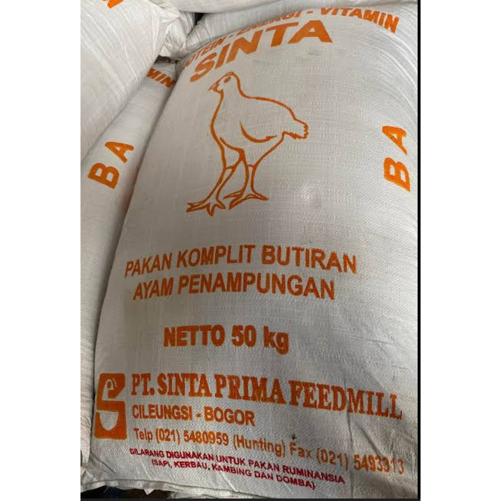 BURAS SINTA BA PUR AYAM PEDAGING BURAS PAKAN AYAM MURAH