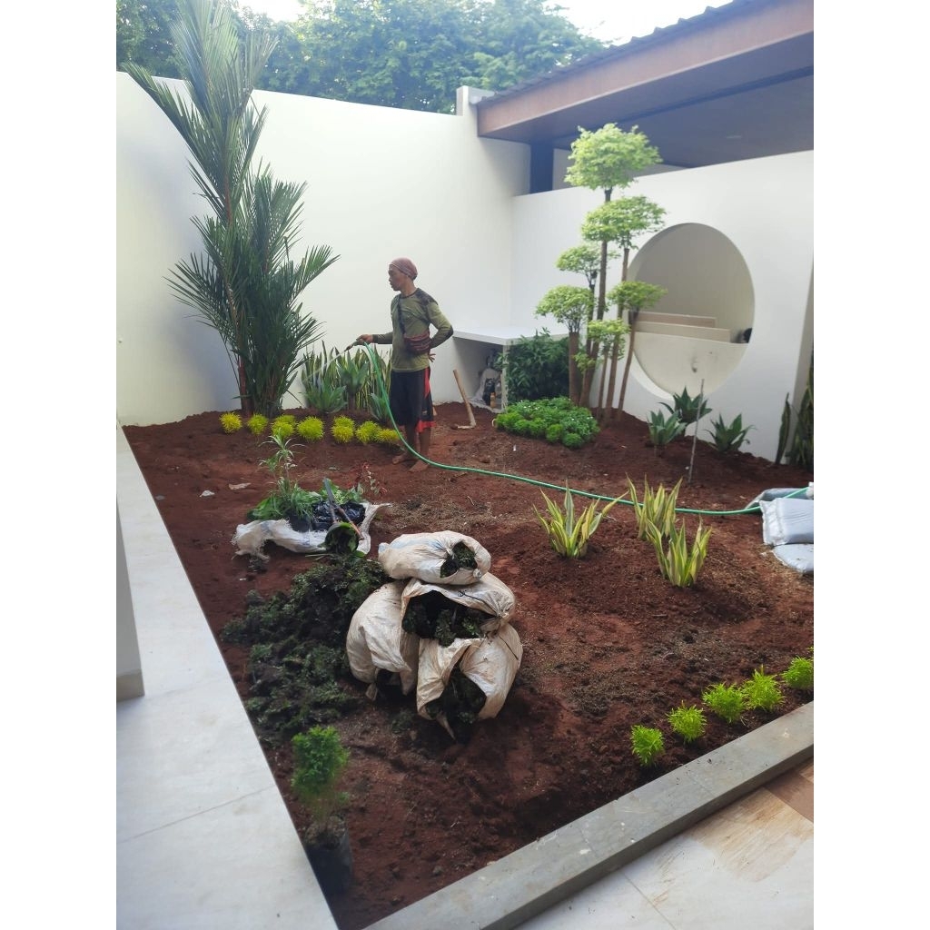 Taman depan rumah / pembuatan dekorasi taman / taman minimalis / taman vertikal garden / taman tropi