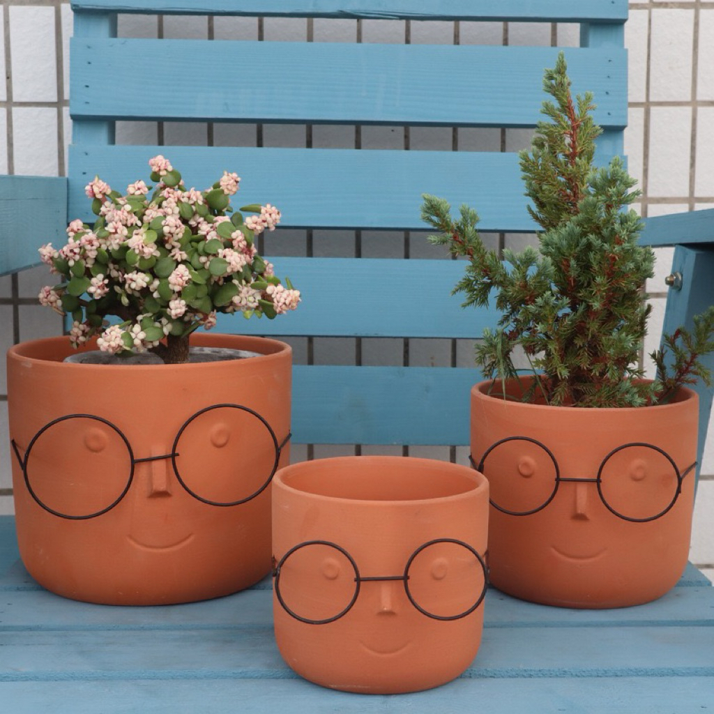 Pot Hias Karakter – Sentuhan Unik untuk Tanaman Favorit. Fancy Pot 2