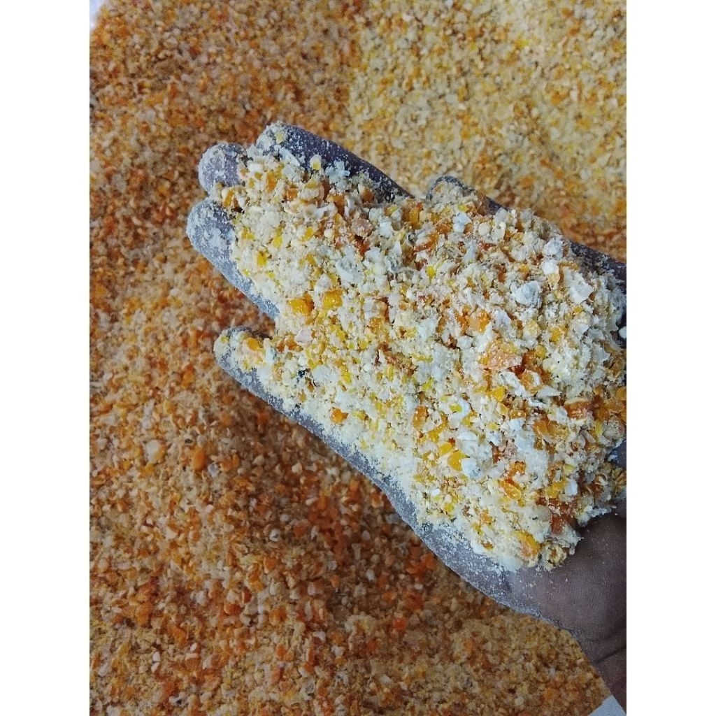 Jagung Giling, Jagung Pecah 10KG Jagung Pakan Ayam Jagung Pakan Burung