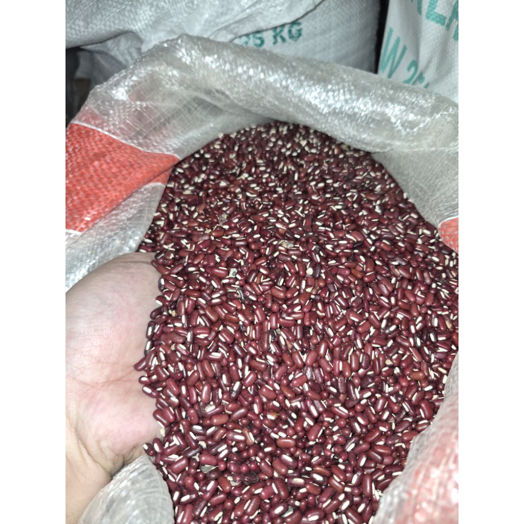 KACANG ES LOKAL/KACANG MERAH/TAUSA 1KG UK KECIL
