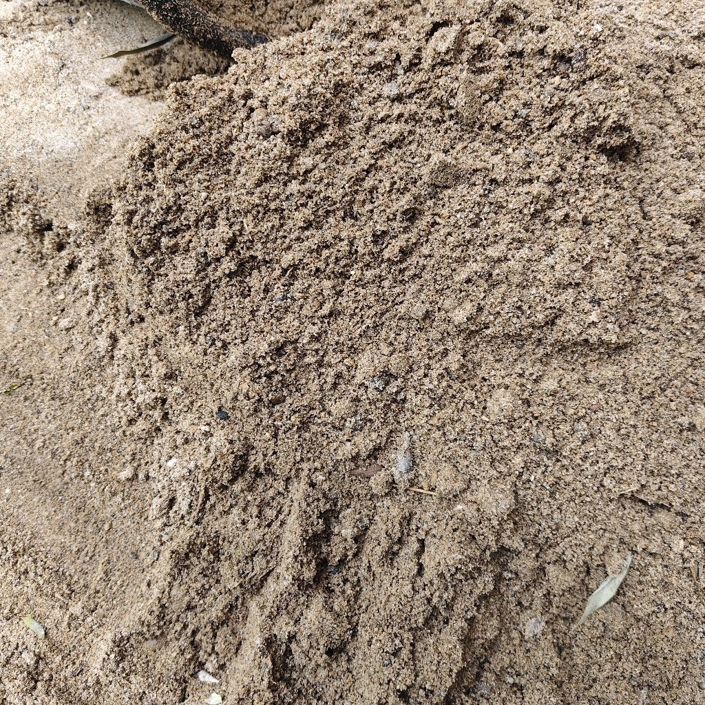 pasir sungai, pasir kali ayakan bersih halus tanpa lumpur.
