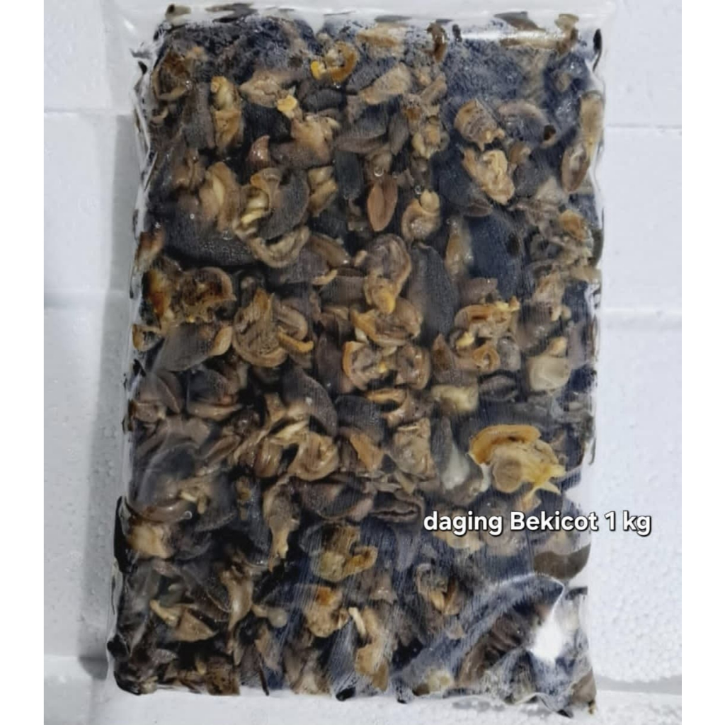 Daging Bekicot Berat 1kg FRESH SEHAT HALAL