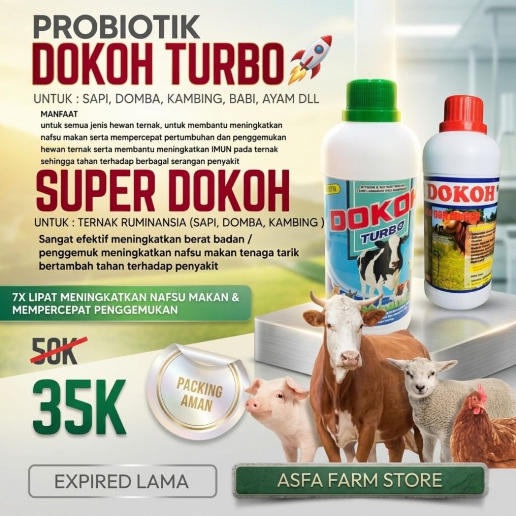 Super Dokoh Jamu Sapi Penambah Nafsu Makan Dan Penggemukan