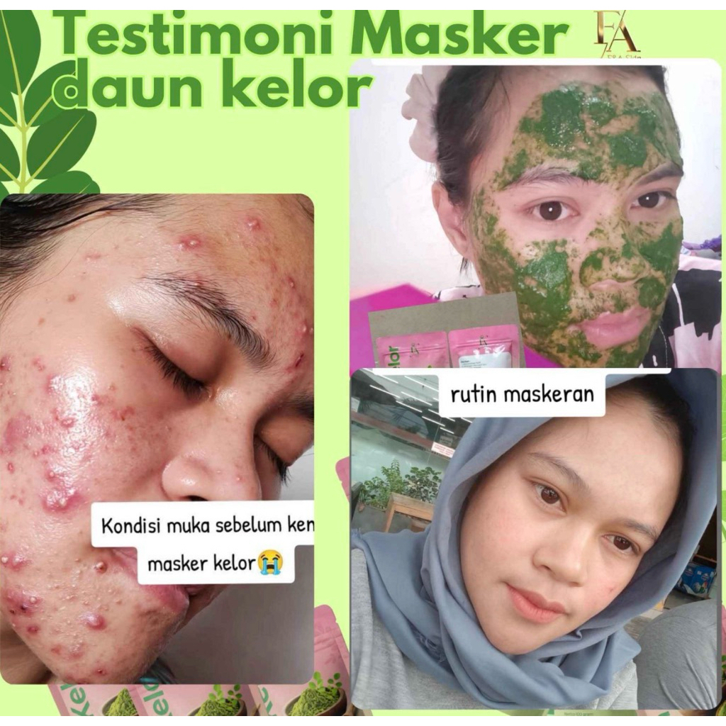 masker wajah terbuat dari daun kelor asli