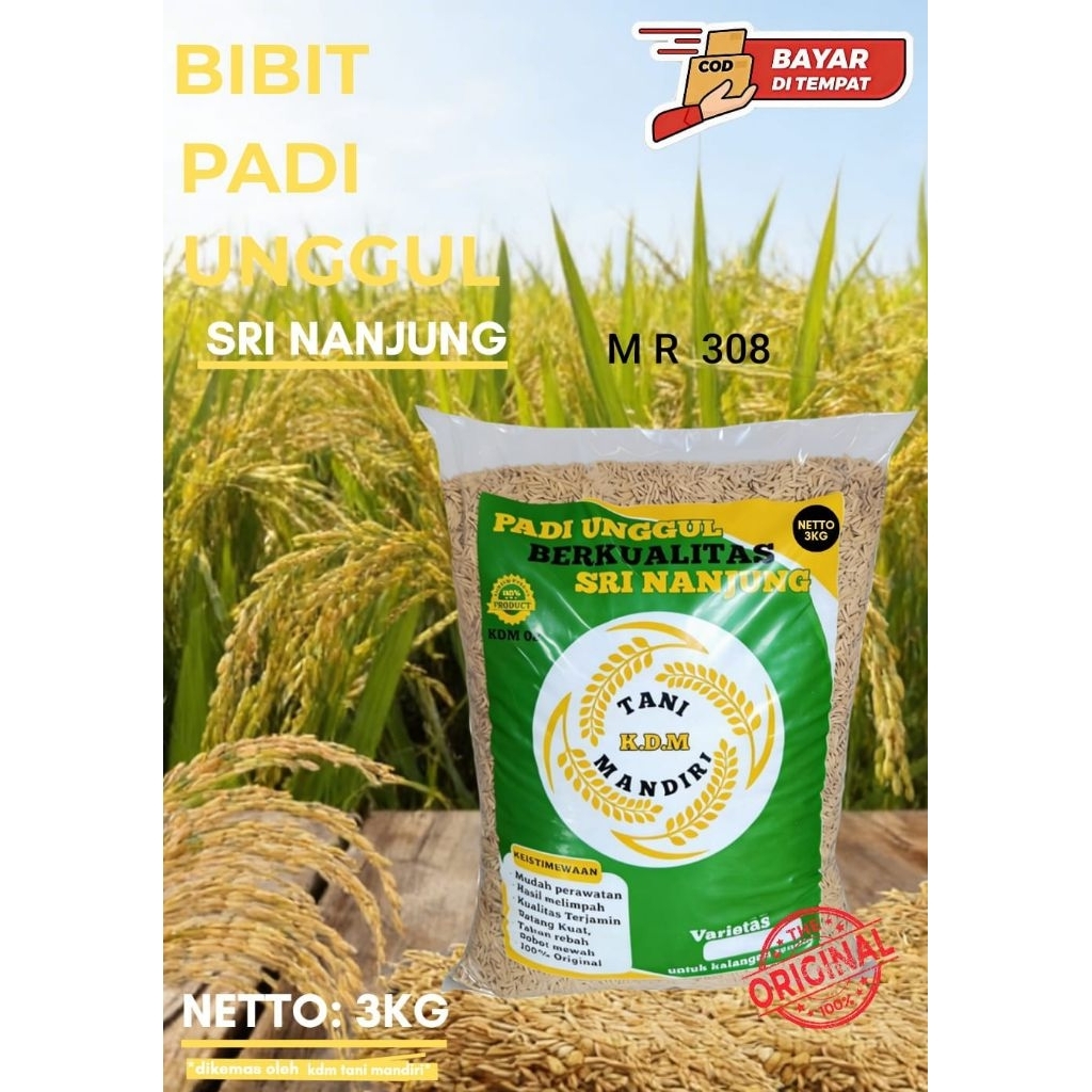 BENIH PADI BIBIT PADI MR 308 KEMASAN ORIGINAL 3KG BIBIT PADI SUPER UNGGUL